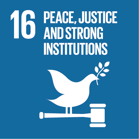 16. Peace Justice and Strong Institutions