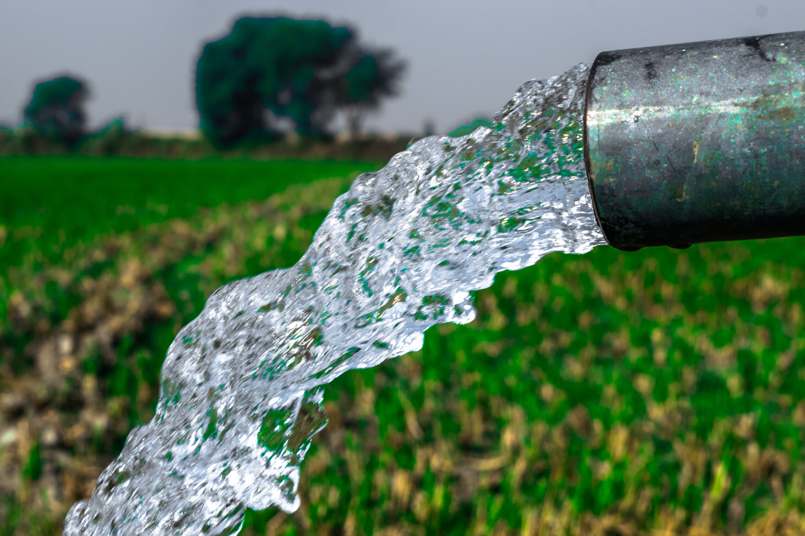 Virtual Discussion on Recommendations and Future Actions on Water and Resource Management Using Isotopic Techniques in MENA