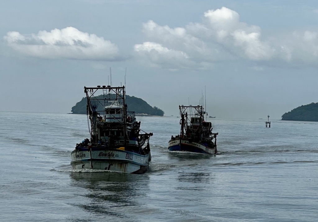 SDPU Webinar on Food Safety and Agricultural Productivity in Southeast Asia and the Pacific